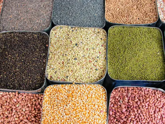 Kaplarda mercimek, nohut ve tahıllar