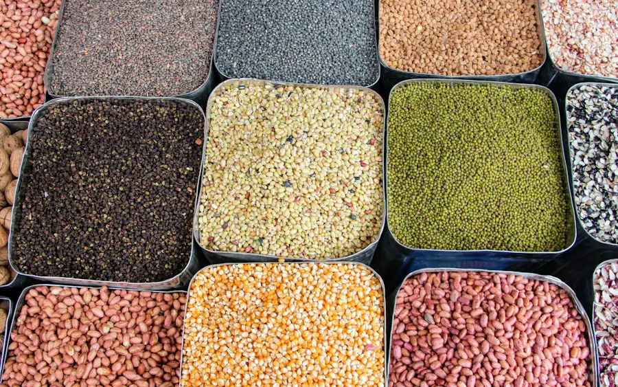 Metal tepsilerde mercimek, fasulye, maş fasulyesi ve tahıllar